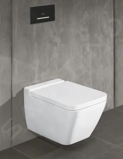 Villeroy & Boch ViConnect - WC-bedieningsplaat 300G, 2 Spoelvolumes, Glanzend Grijs/geborsteld Rvs 922160RA -Modern Badkamer Verkoop befdb1185f38545428bf2f1d